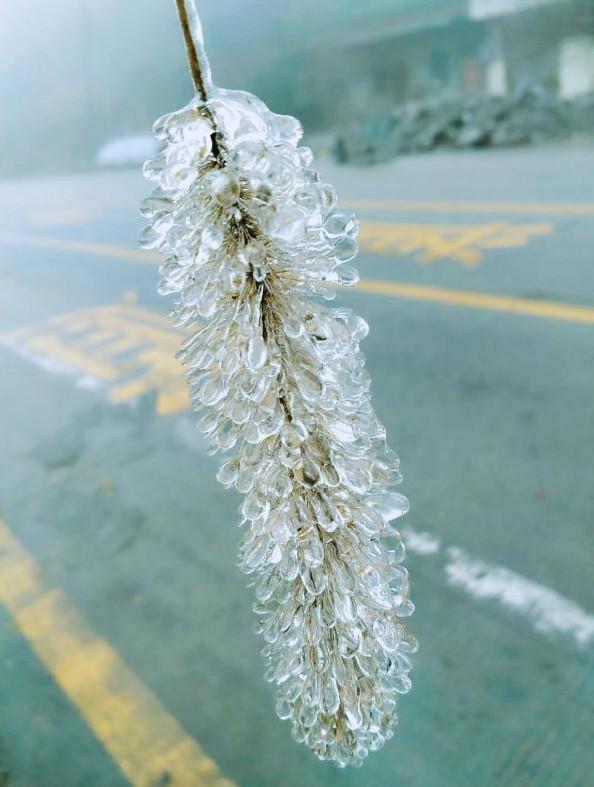广东今年首个寒潮来袭今起三天全省有大到暴雨建议减少户外活动